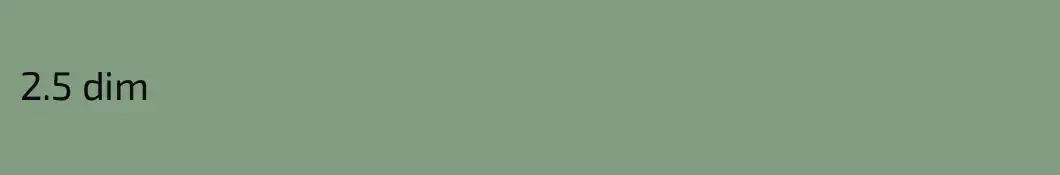 2.5 dim